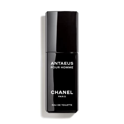 chanel antaeus opinion
